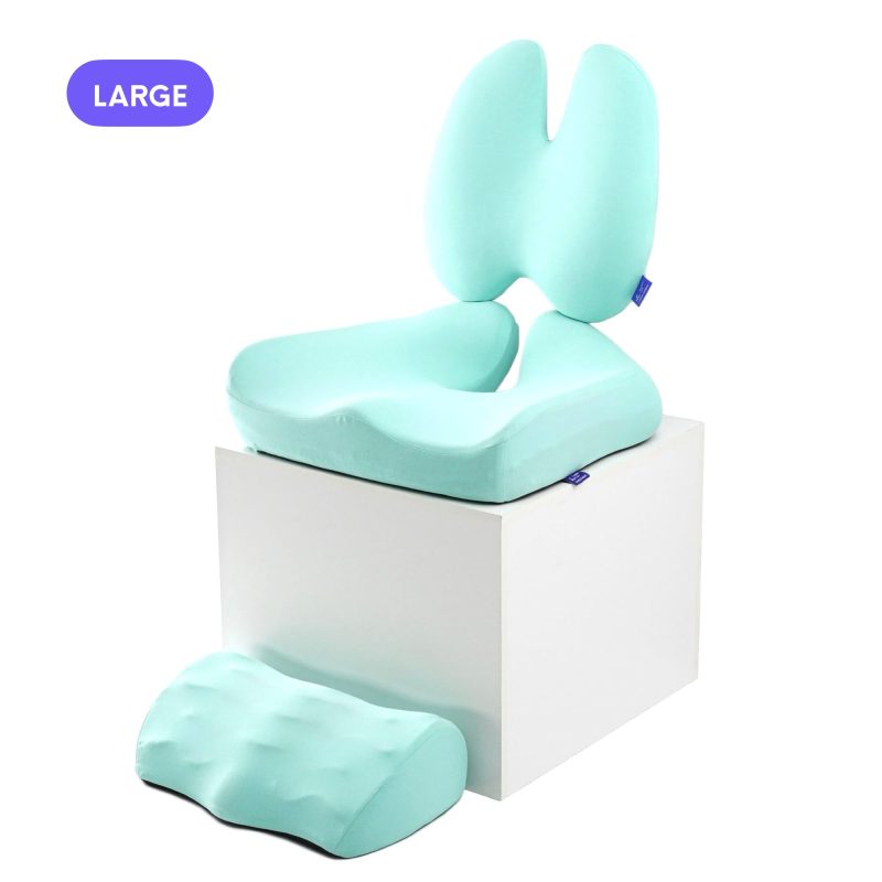 ultimate sitting comfort bundle 453670