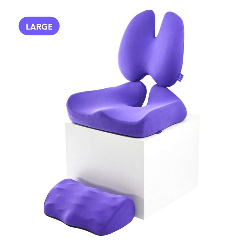 ultimate sitting comfort bundle 510752