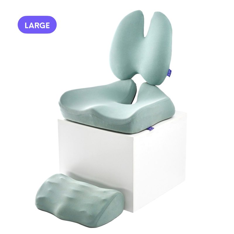 ultimate sitting comfort bundle 993029